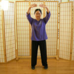 Spleen - Kidney Transition 1